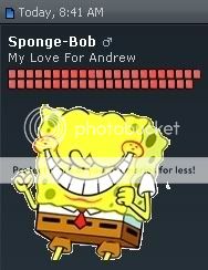 sponge.jpg