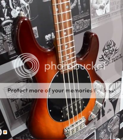 Honeyburst17-PDN05.jpg