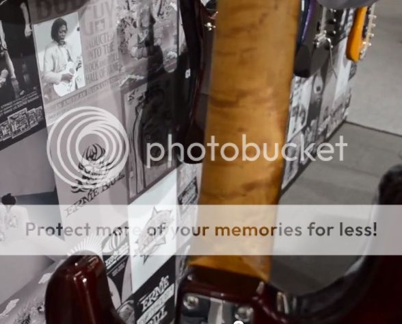 Honeyburst17-PDN06.jpg